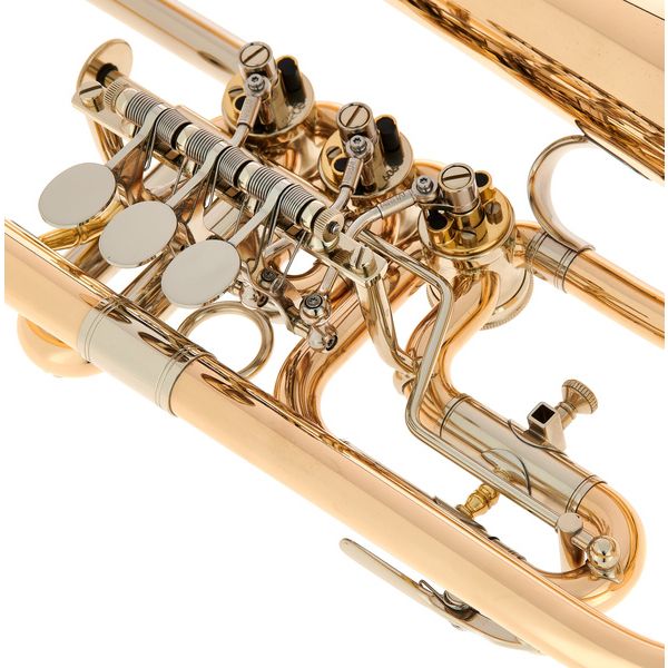 Peter Oberrauch Rosengarten Flgh 10,95