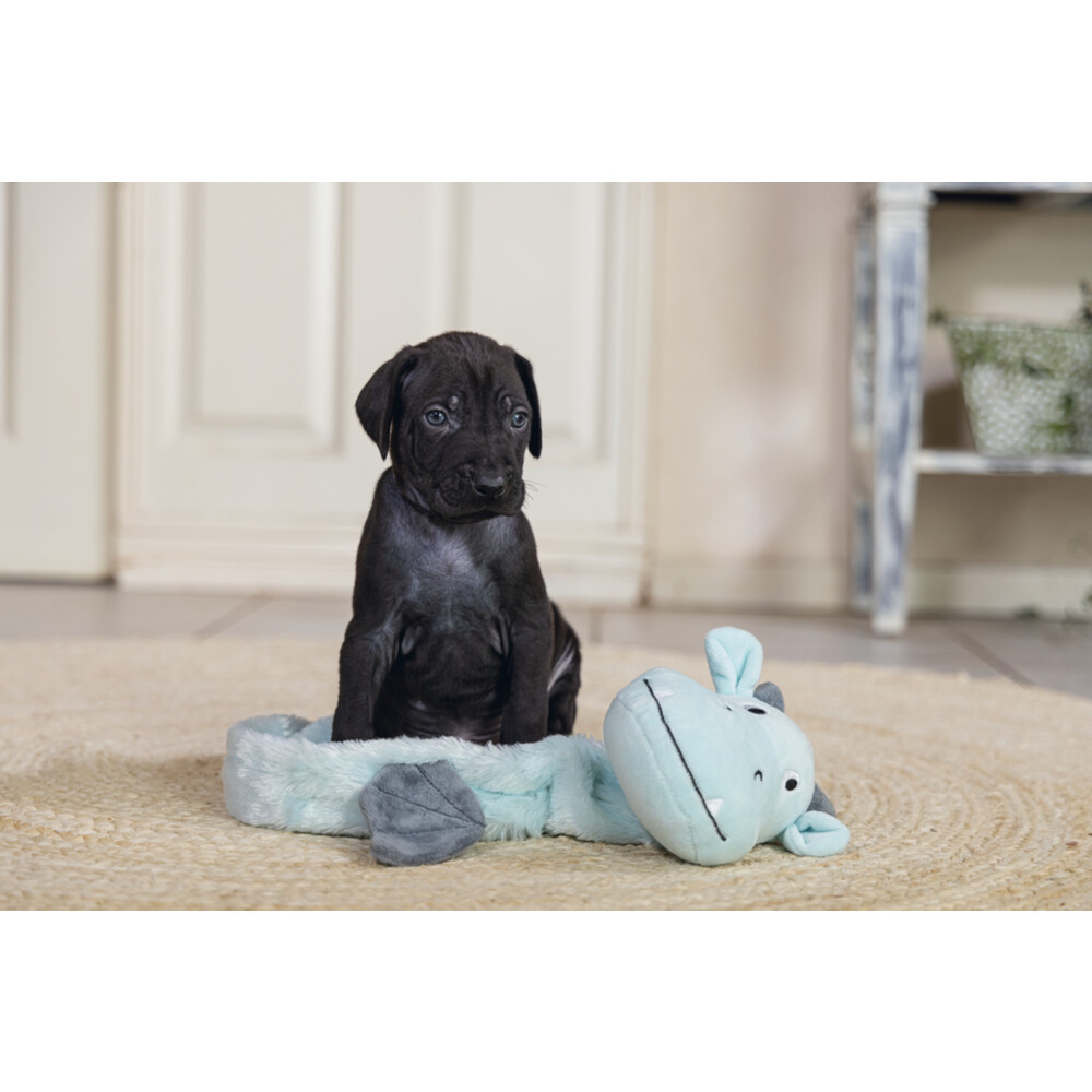 Beeztees Pup Flatino Draak Yi Groen