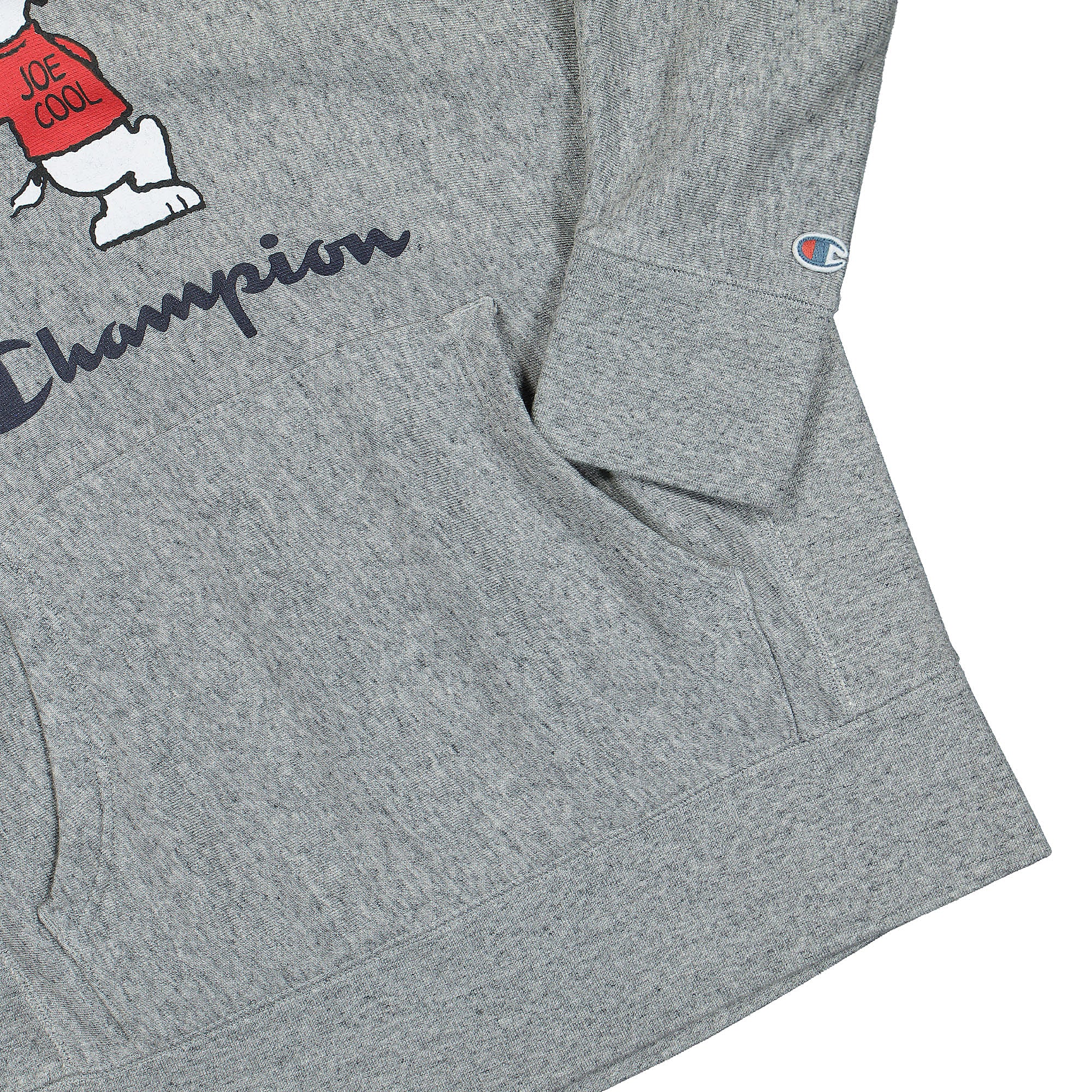 Champion<br>Hooded Sweatshirt