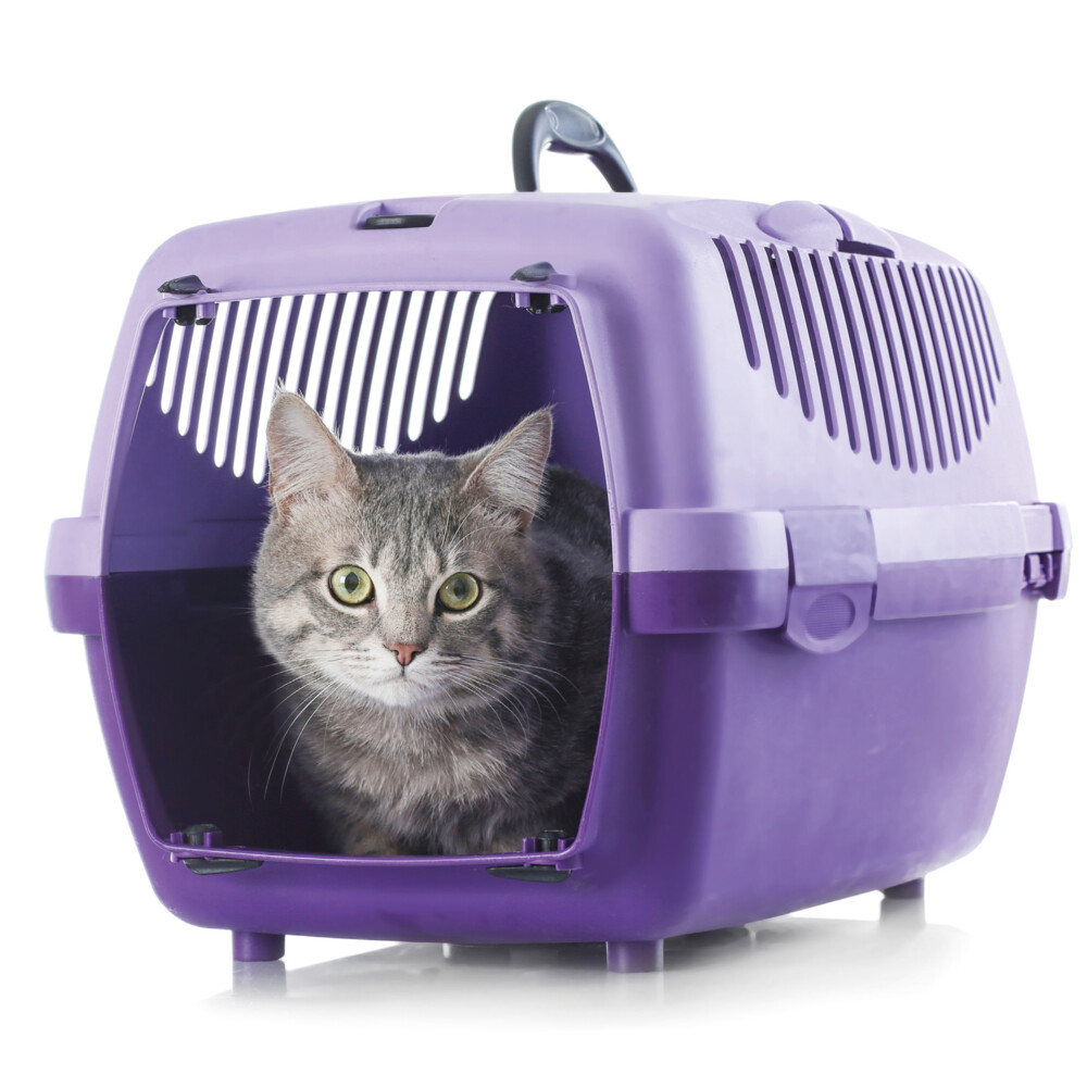 Beaphar CatComfort Spray60 ml
