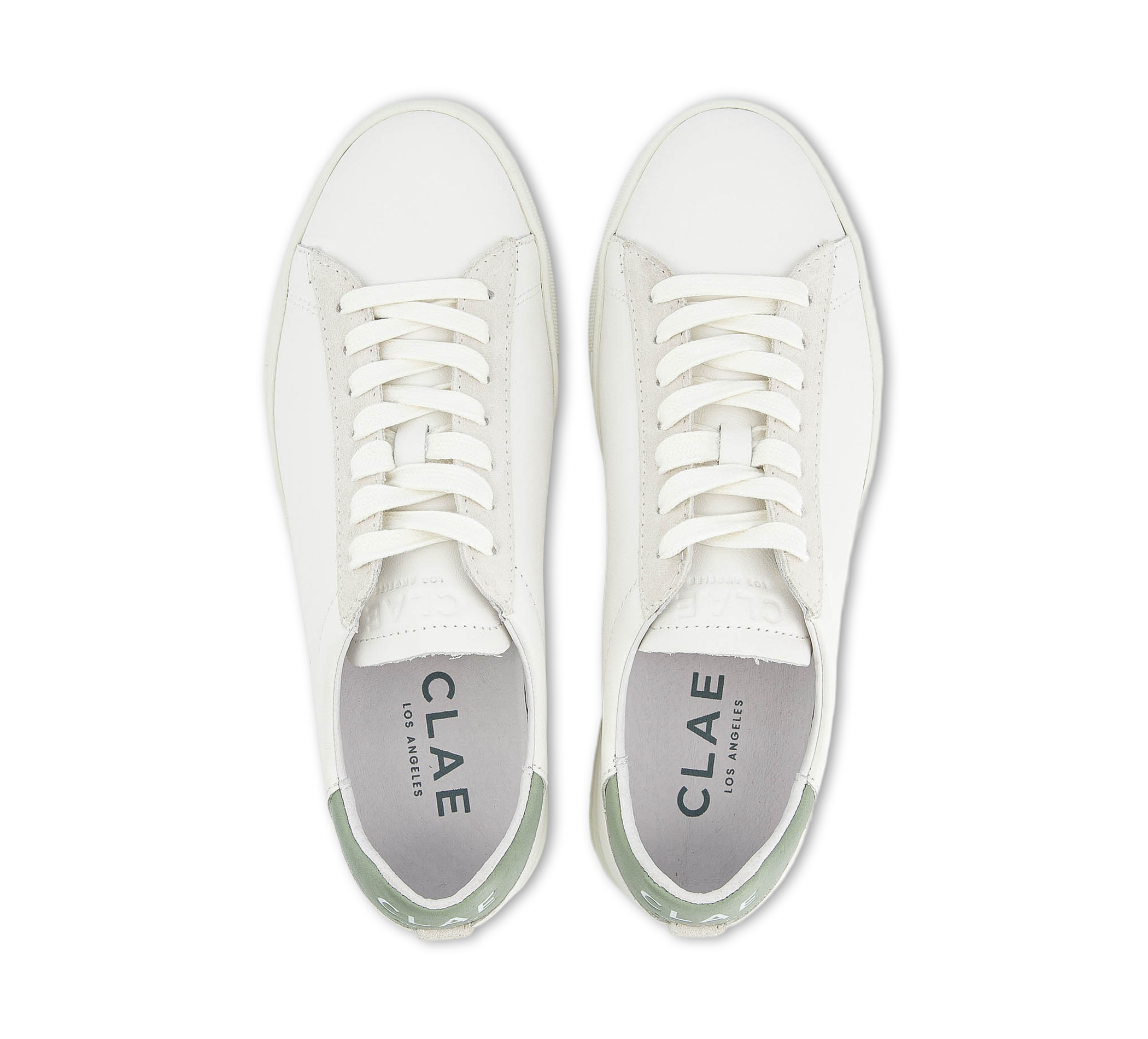 Clae Bradley