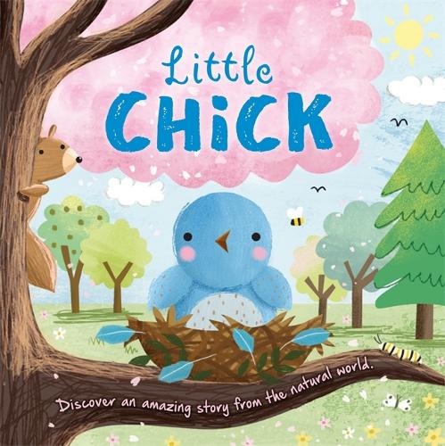 Little Chick - Picture Flats (Paperback)