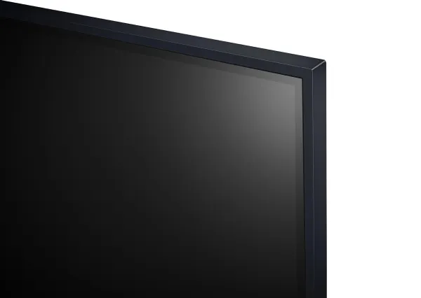 LG 65QNED85T6C - 65