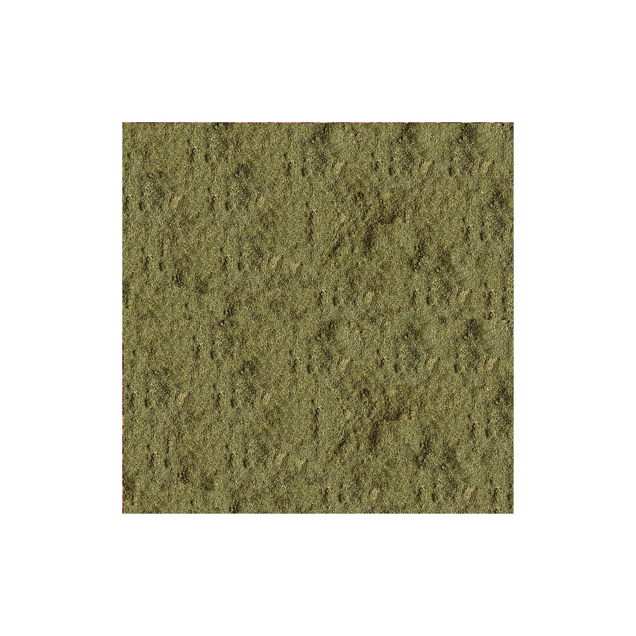 Sera Micron Powder 25 g