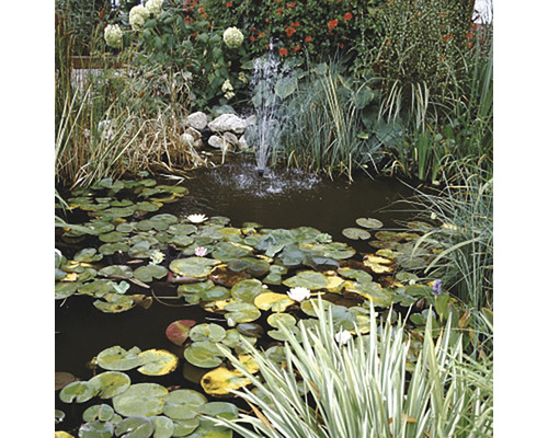 Voedselsticks JBL ProPond All Seasons maat S 5,8 kg