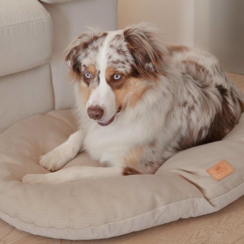 Cama para animais de estimação Ferplast Stuart bege