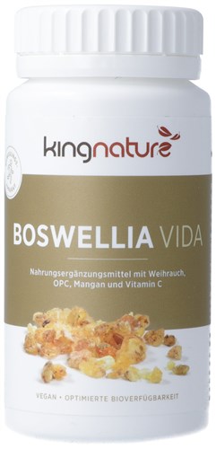 KINGNATURE Boswellia Vida Kaps 100 mg Ds 90 Stk