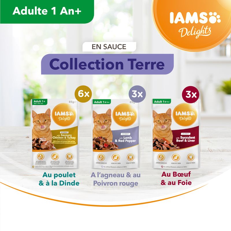 IAMS Delights Adult en sauce 12 x 85 g