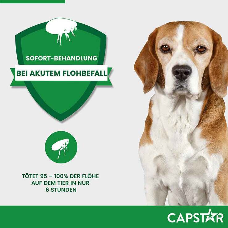 CAPSTAR 57 mg Tabletten für große Hunde, 6 St
