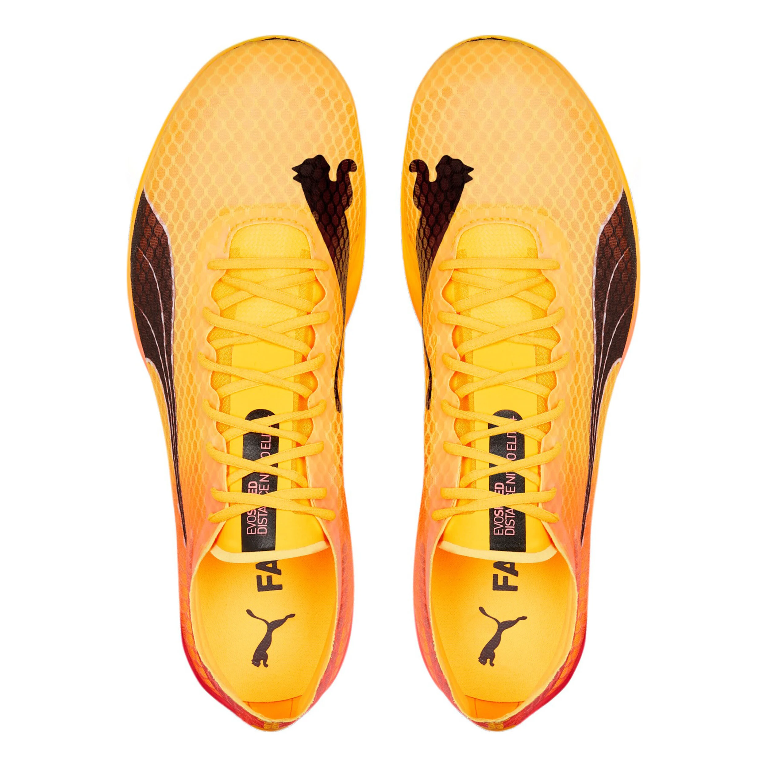 Puma EvoSPEED Distance Nitro Elite+ 2 Spikes - Jaune , Orange