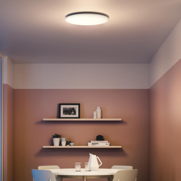 Philips LED plafondlamp Wavel