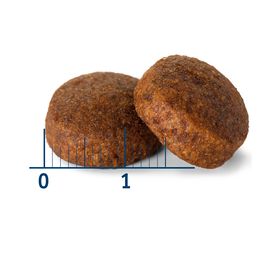 Ração para cães Nath Adult Maxi com sabor de frango
