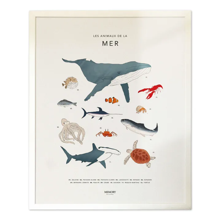 Memory Affiches Affiche Animaux de la mer