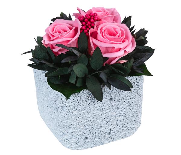 Dehner Keramik-Schale mit Longlife-Rose Izzy,