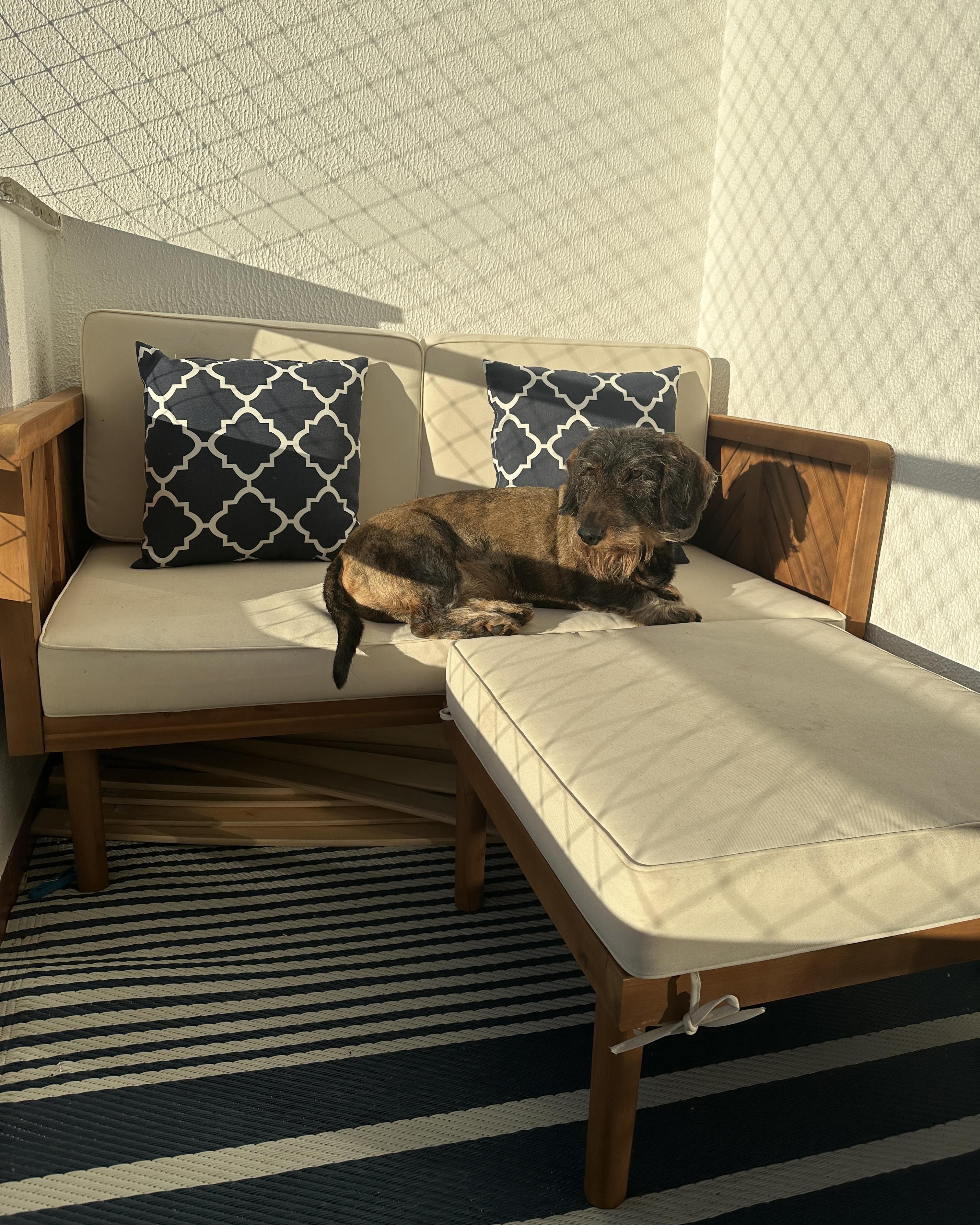 Tuin loungebank 2-zits BARATTI Acaciahout Bruin