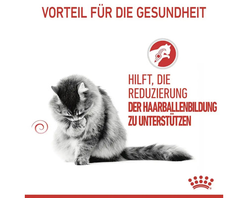 Droog kattenvoer, ROYAL CANIN Intense Hairball 34, 10 kg