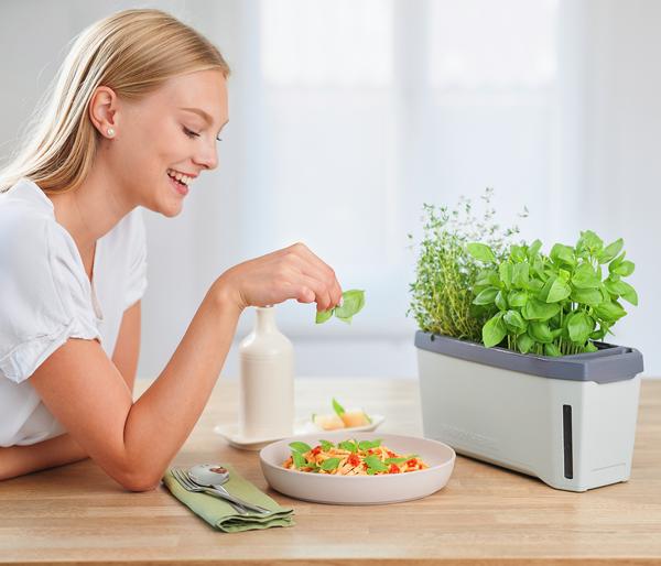 Gusta Garden Kräutertopf Harry Herbs, ca.