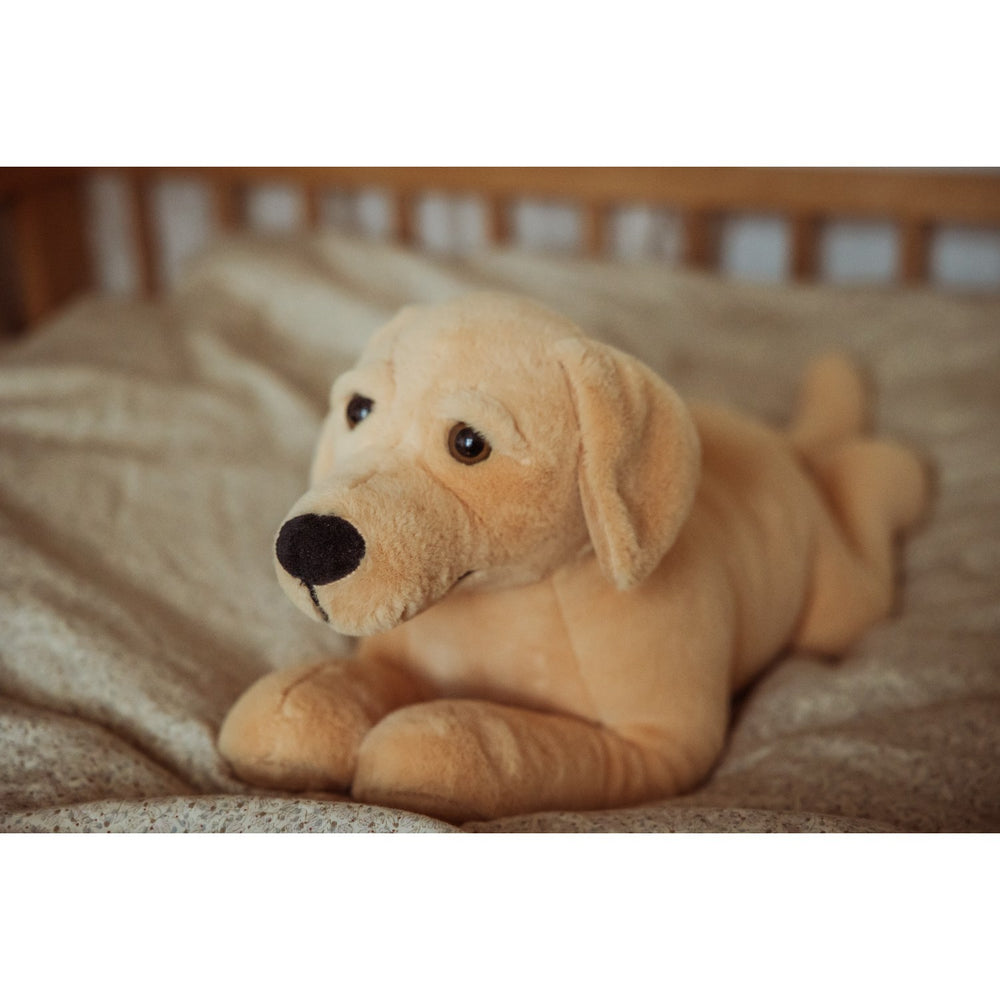 Køb by Astrup Tyngdedyr, Hund, 2,2 Kg.