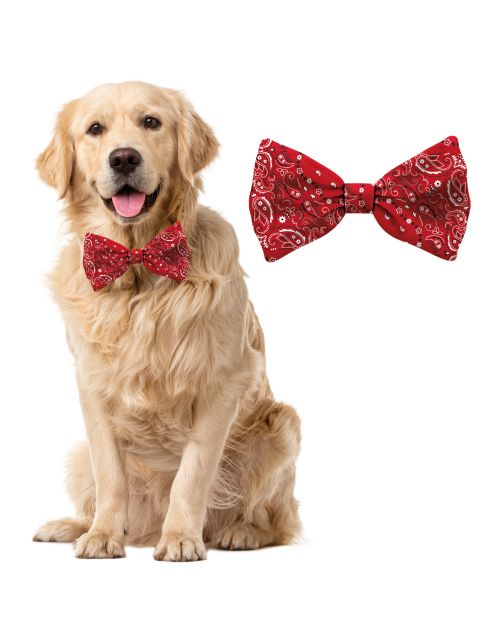 Plenty Gifts Bow Tie Dog Pattern - Cadeau - 8x16x1 cm Rood Wit L