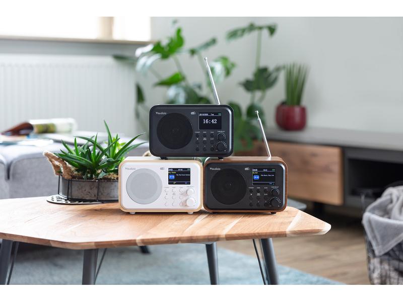 Audizio DAB  Radio Milan Weiss DAB  Radio mit Bluetooth