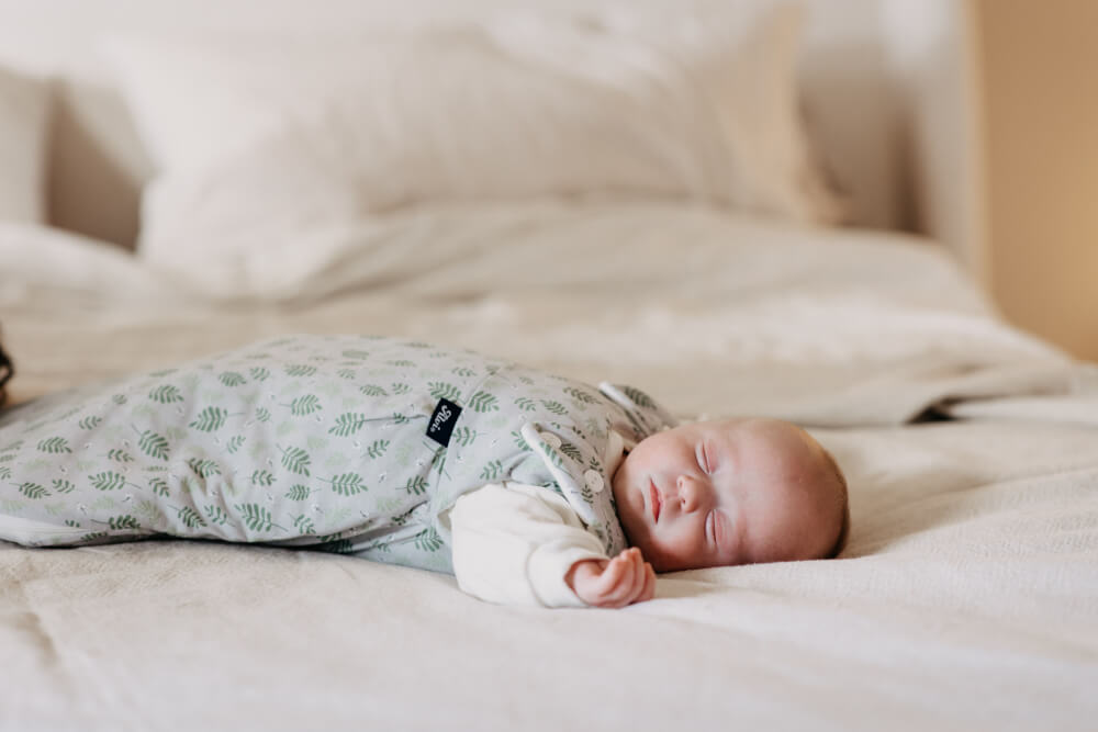 ALVI Baby-Mäxchen 3tlg. Organic Cotton Drifting Leaves, 68/74