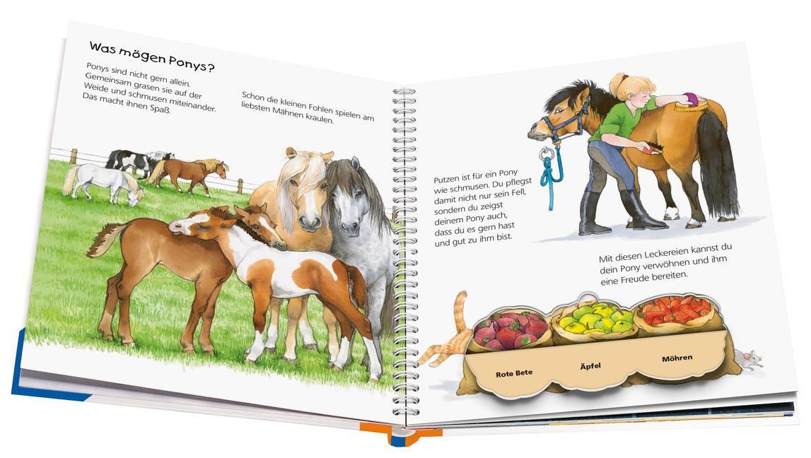 Das Pony / Wieso? Weshalb? Warum? Junior Bd.20