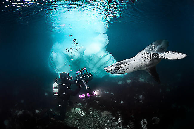 ANTARTICA