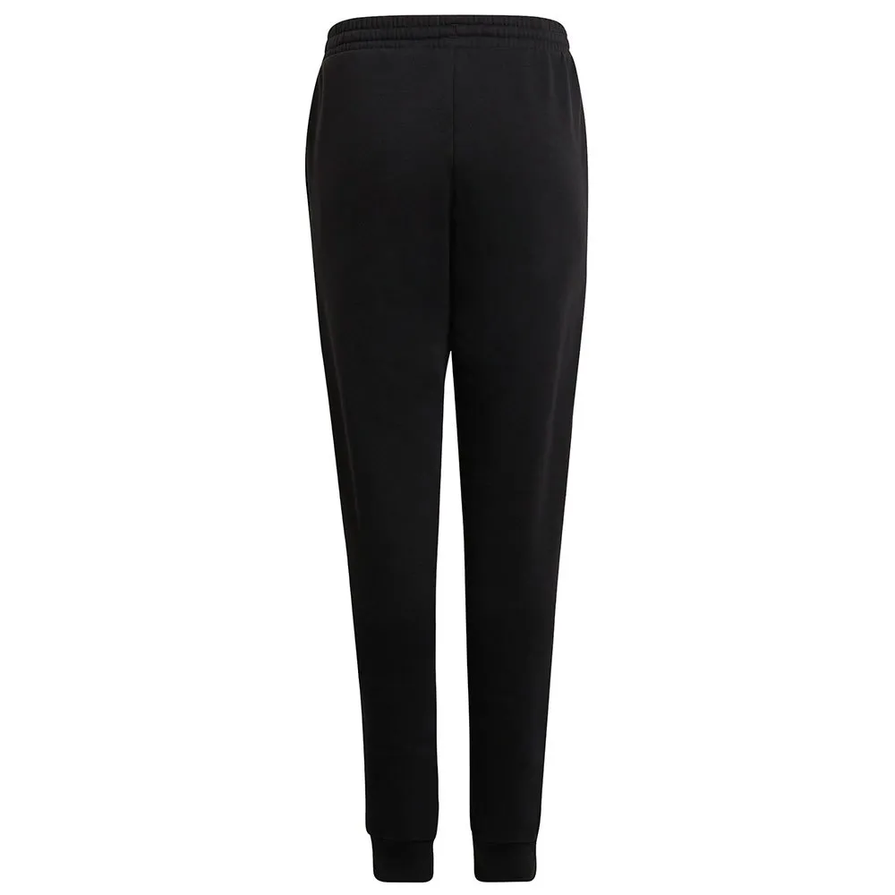 adidas Entrada 22 Stadium SW hosen