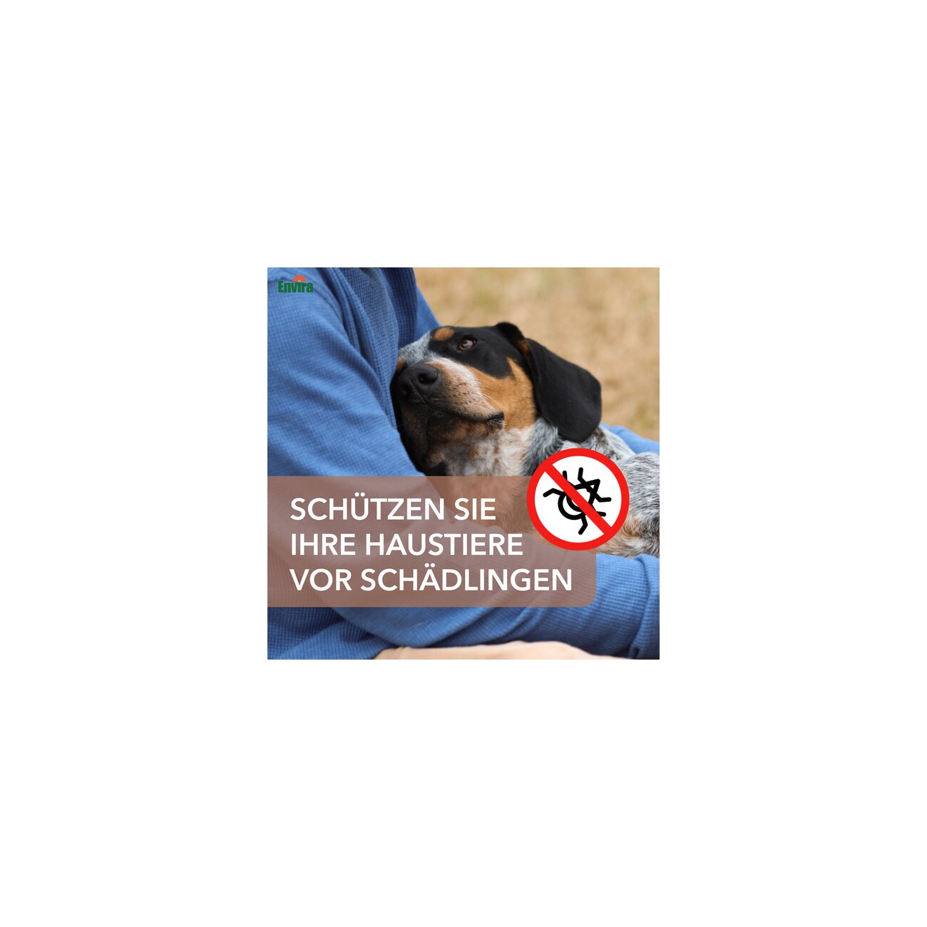 Envira Fellpflege Spray für Hunde & Katzen (500ml)