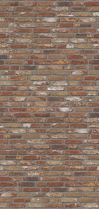 Lot de 2 panneaux muraux salle de bains 100 x 210 cm, Schulte DécoDesign Décor, brique industriel