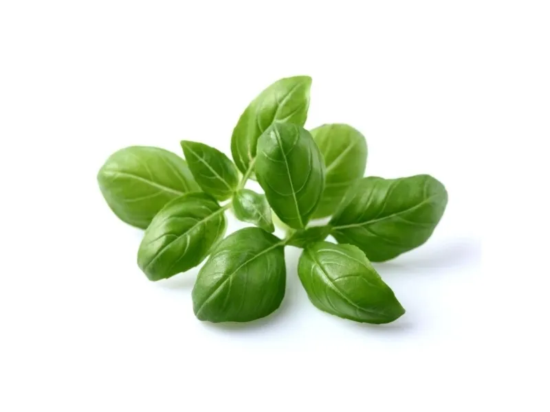 Click and Grow Smart Garden Refill 3-pack - Easy cultivation of nutritious basil