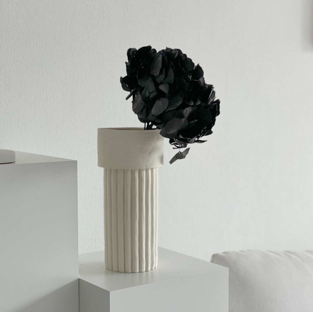 Hortensia: Tijdloze schoonheid, geconserveerde hortensia's als perfecte decoratie