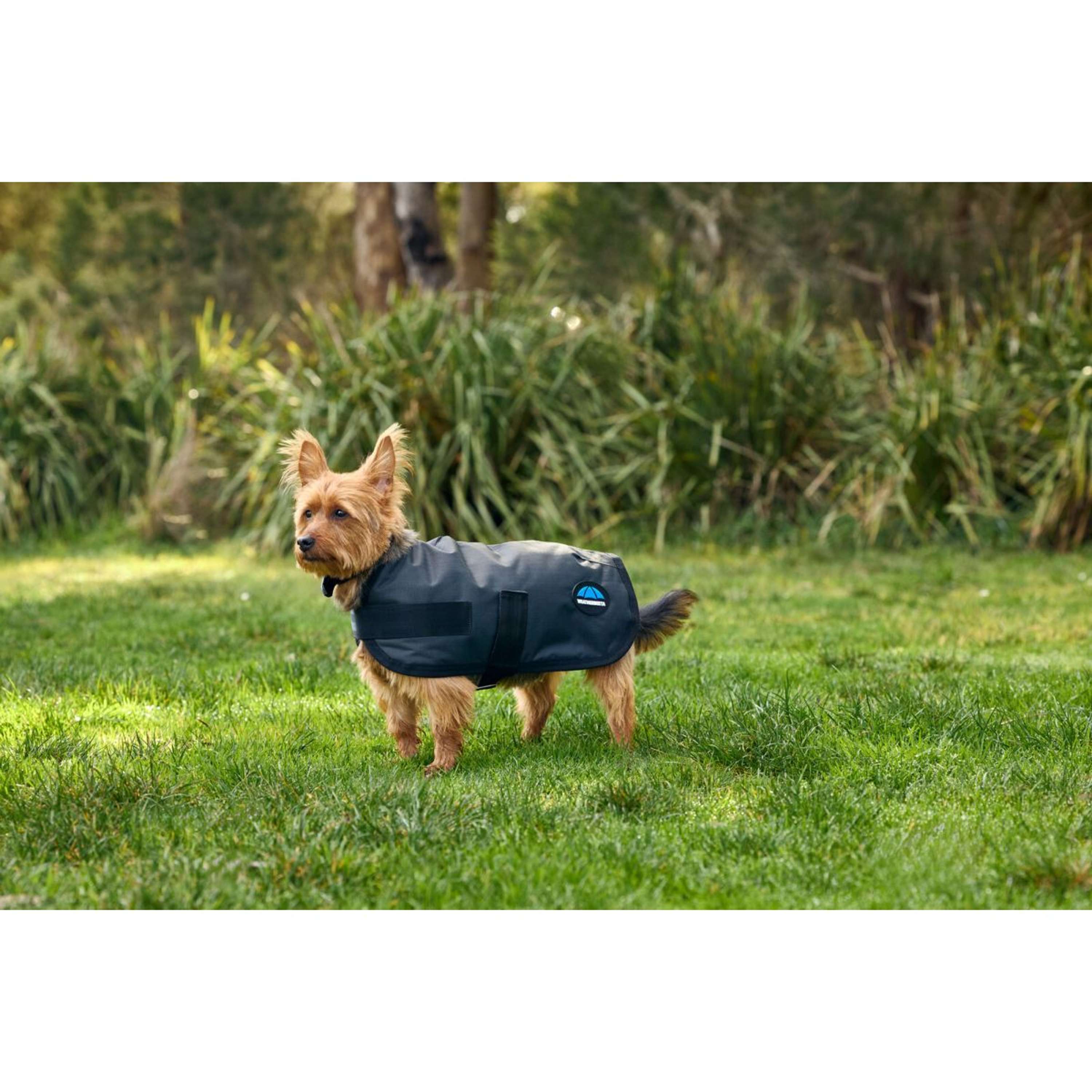 WeatherBeeta Hondendeken ComFiTec Classic Waterproof Charcoal