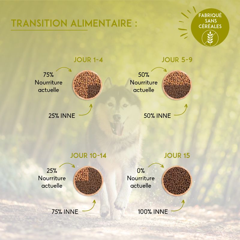 Nutrivet Inne Balance