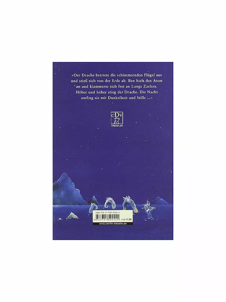 DRESSLER VERLAG Buch - Drachenreiter 1  keine Farbe
