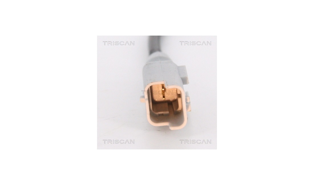 ABS sensor