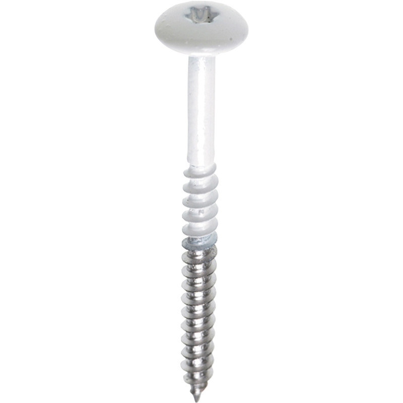 Kleurkop schroeven RVS 4,8x32mm TX20 RAL 9001 Crème