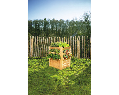 Premium verhoogde tuinbak WESTMANN maat L 65 x 65 x 73 cm naturel