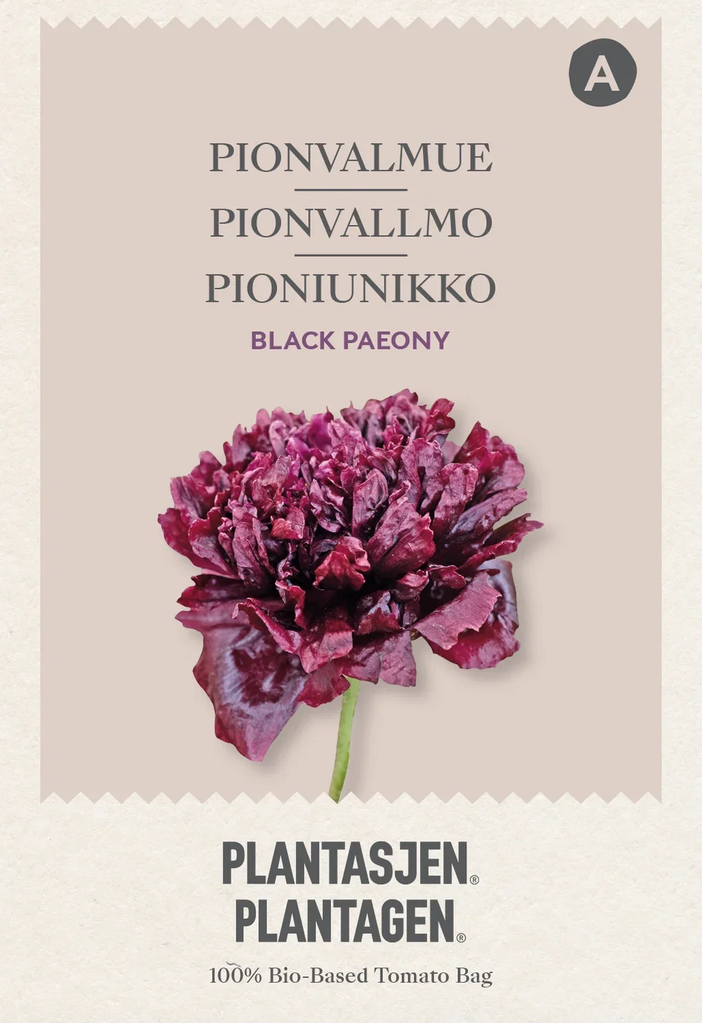 Papaver somniferum Pionvalmue 'Black Paeony'