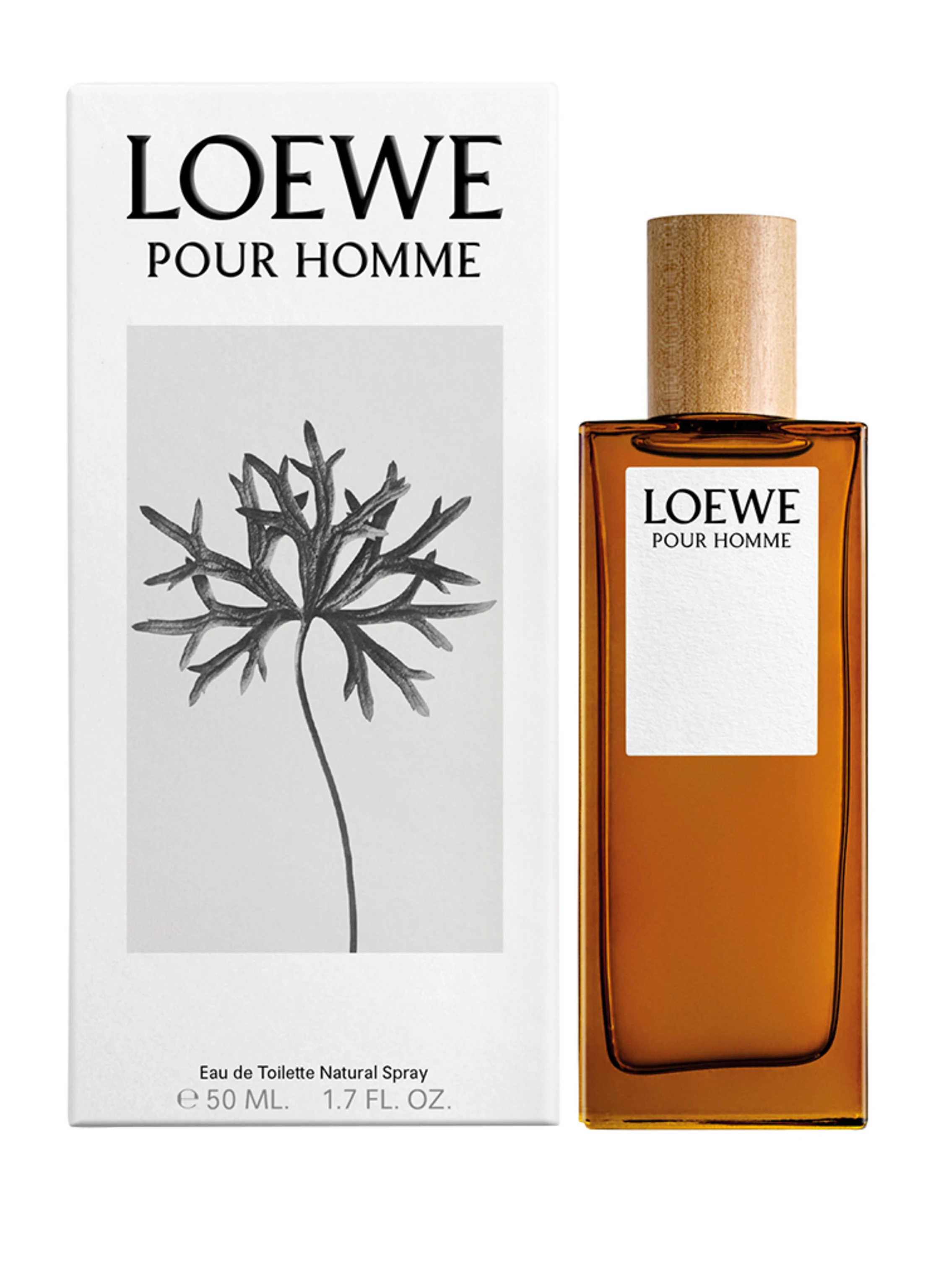 LOEWE POUR HOMME