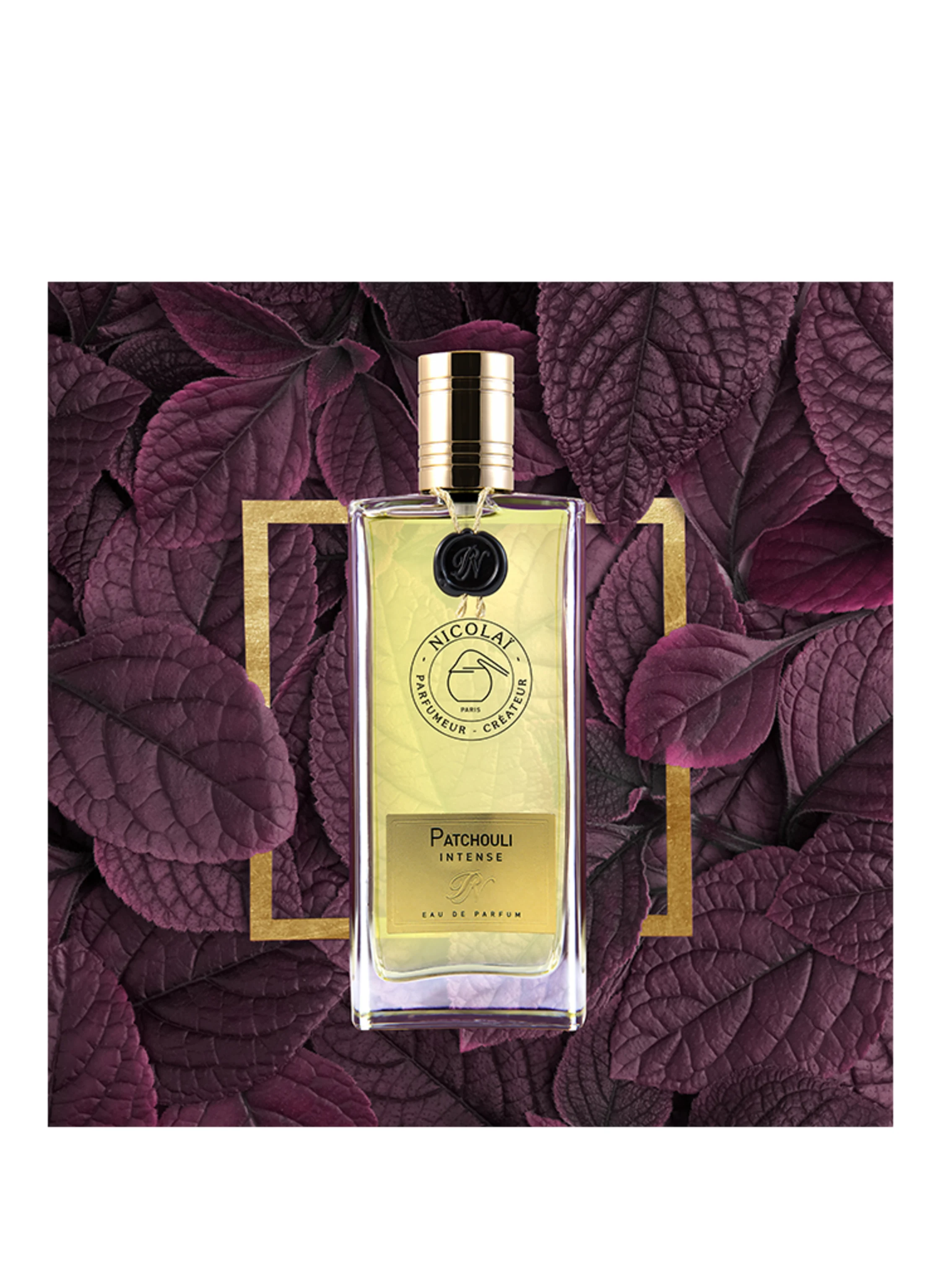 NICOLAÏ PATCHOULI