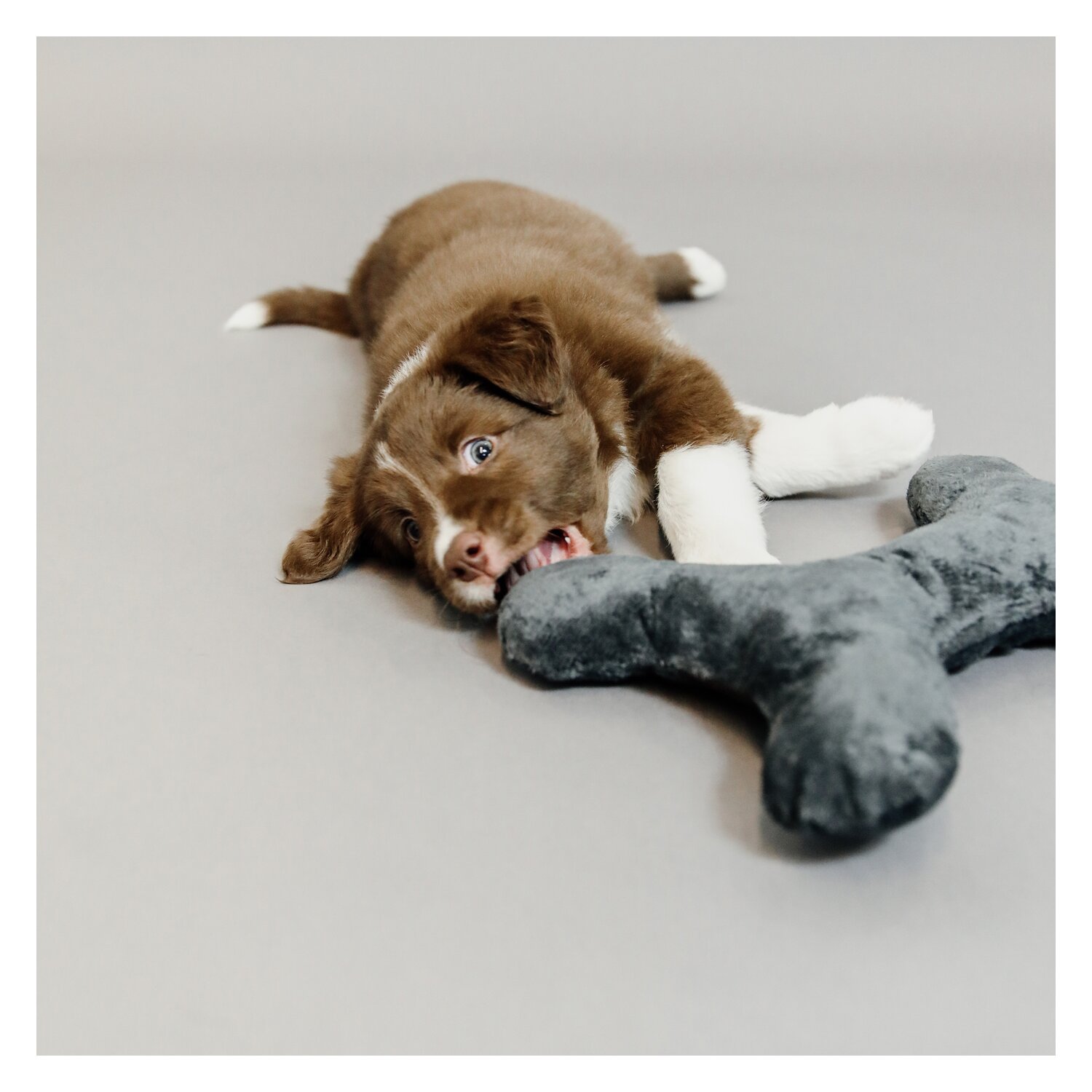 KENTUCKY DOGWEAR Hundespielzeug Bone
