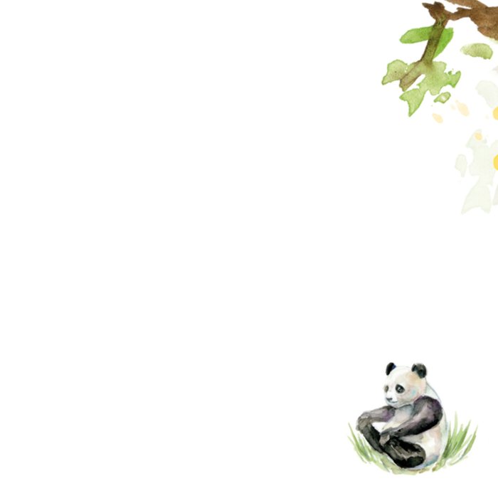 Michelle Dujardin | Geboortekaart | Panda