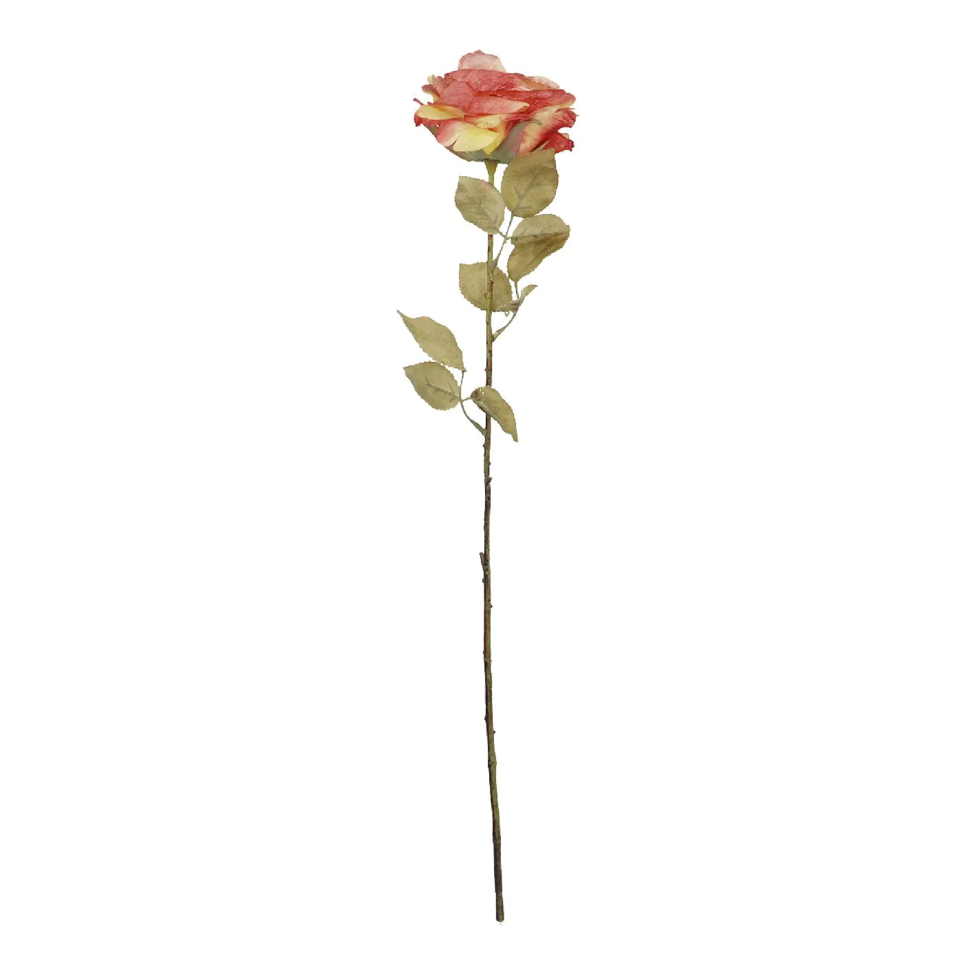 Rose Theresa, orange, 63 cm