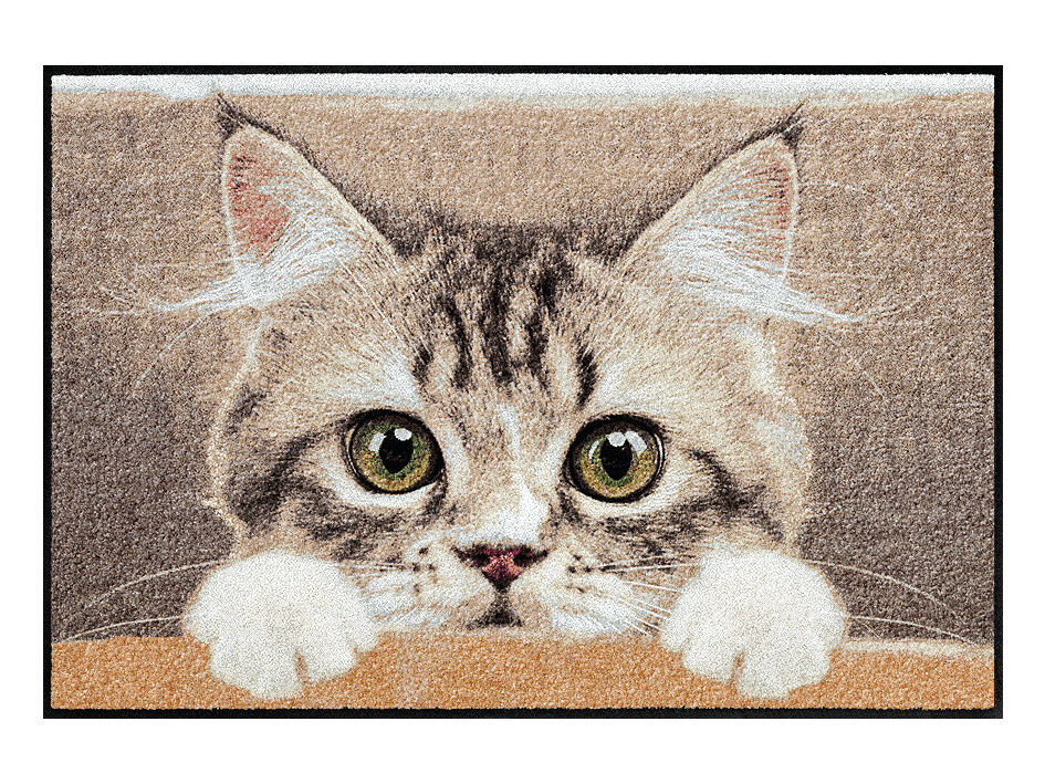 Türmatte Katze