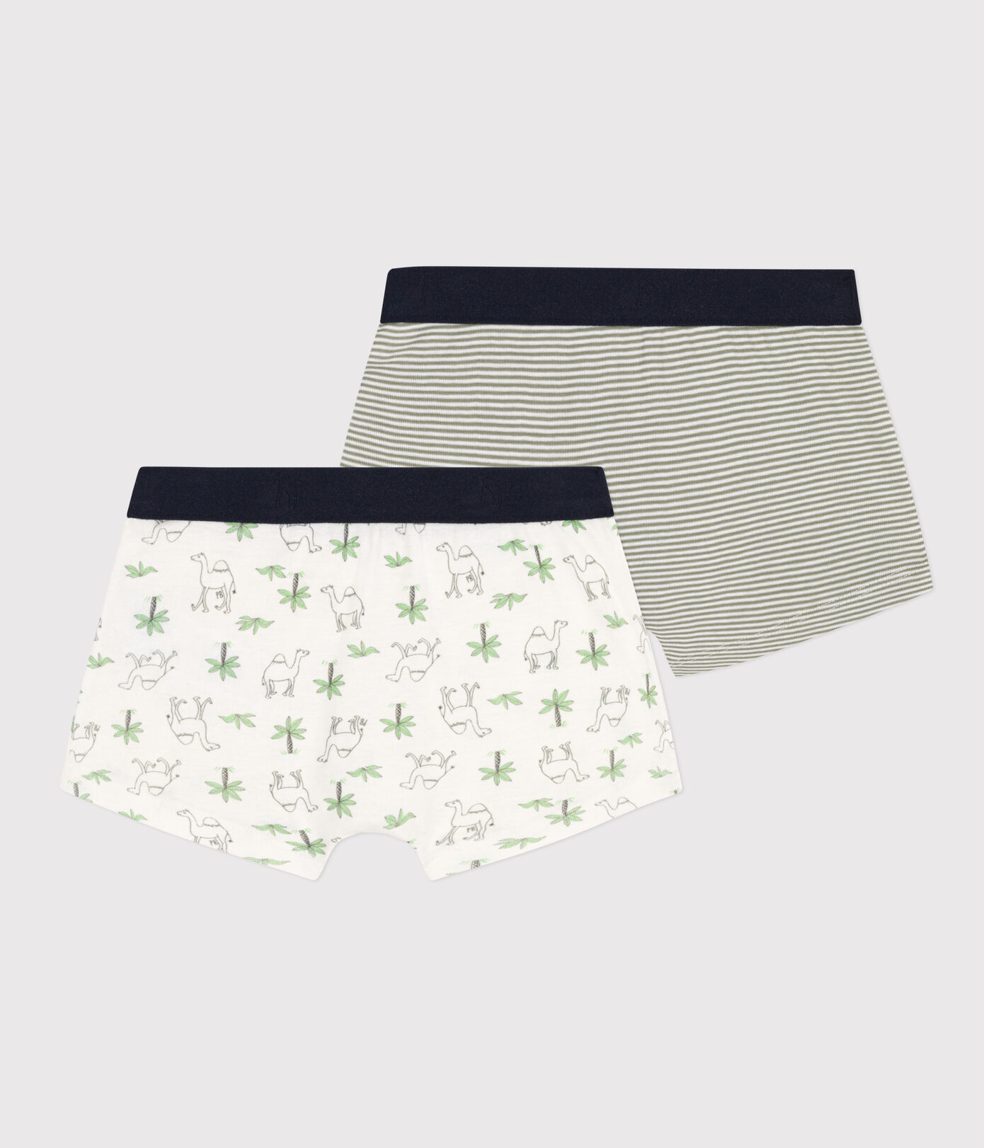 Lot de 2 boxers dromadaires en coton petit garçon