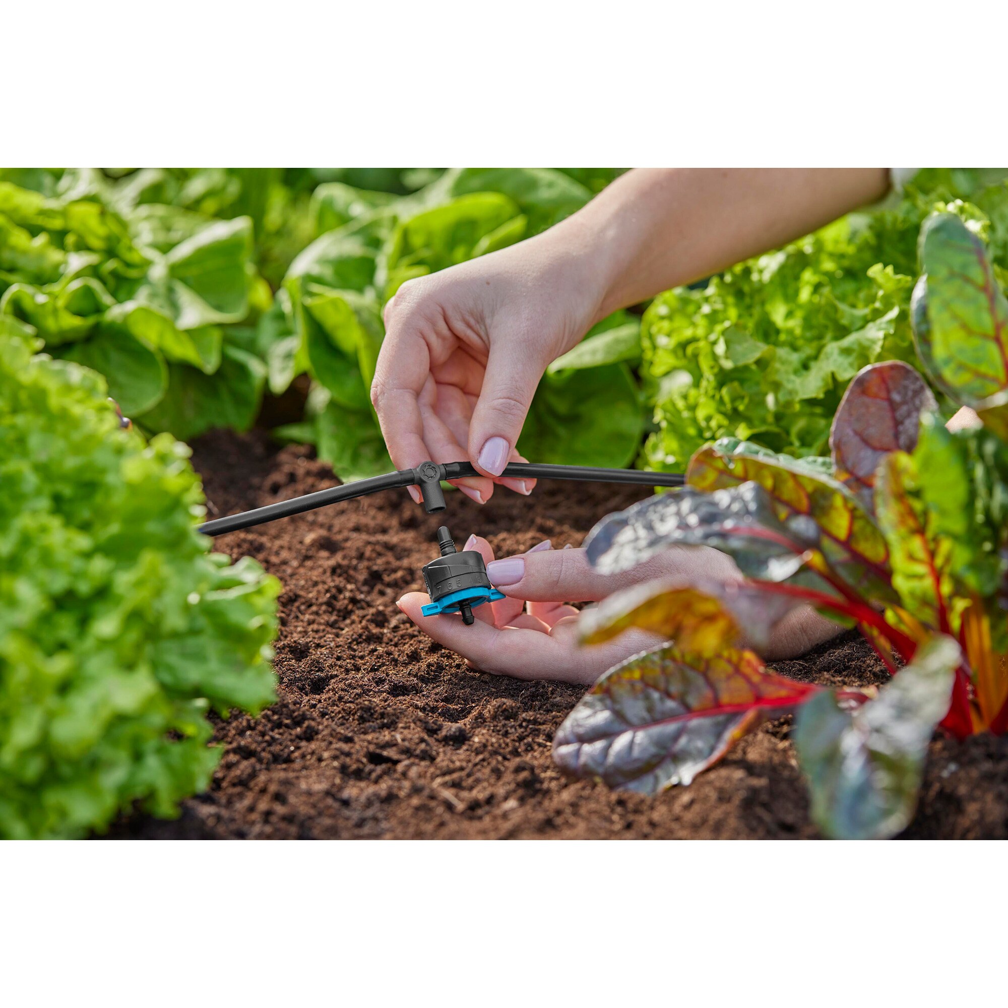 GARDENA Verbindung Micro-Drip-System T-Stück für Sprühdüsen/Endtropfer, 4,6mm (3/16