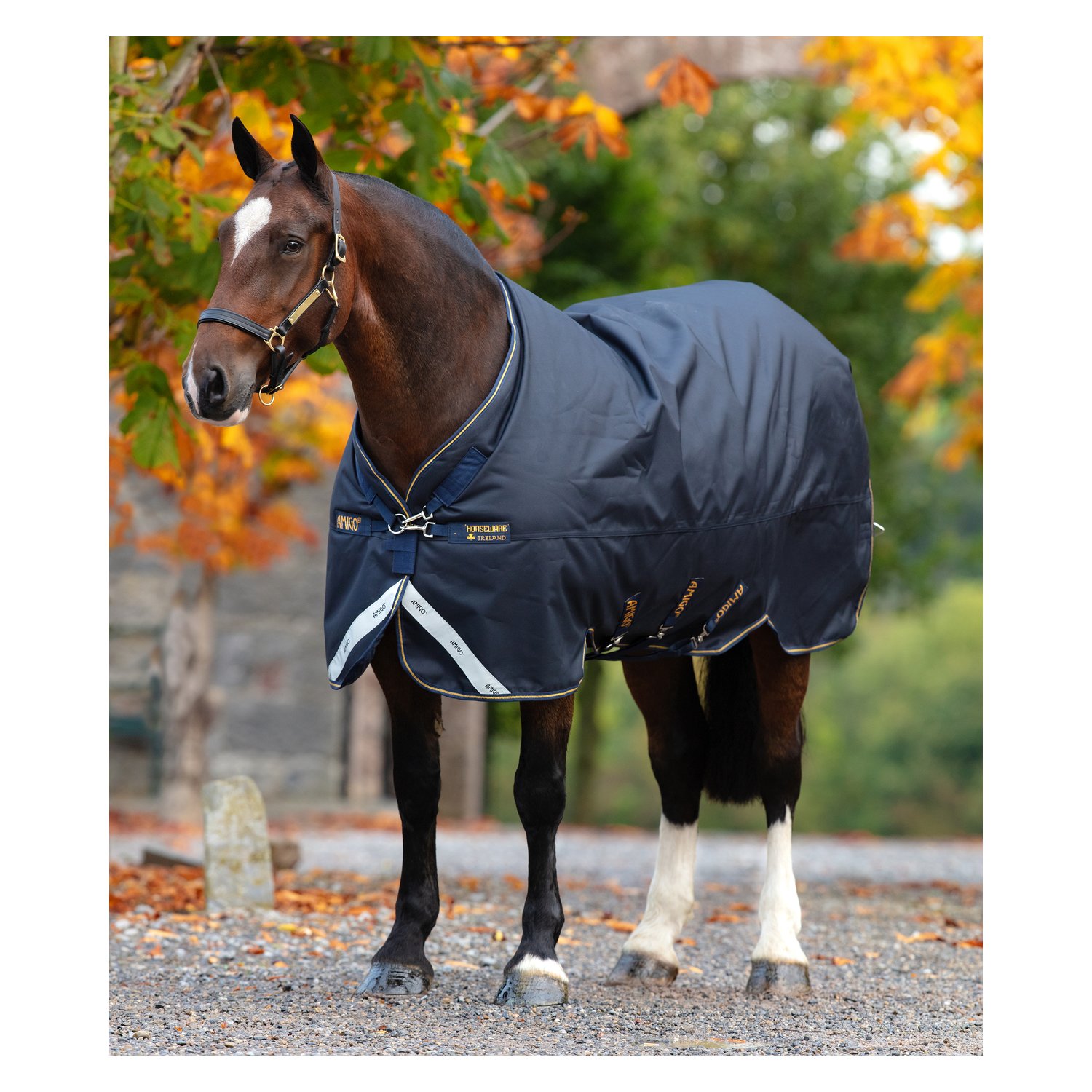 HORSEWARE Outdoordecke AMIGO Bravo 12 XL Original Medium  - navy/gold