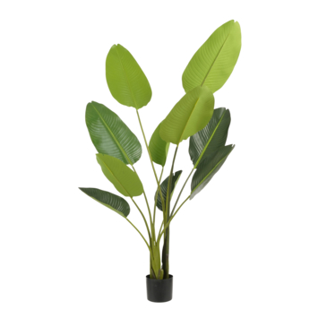 Kunstplant Strelitzia in pot groen - h150xd25cm
