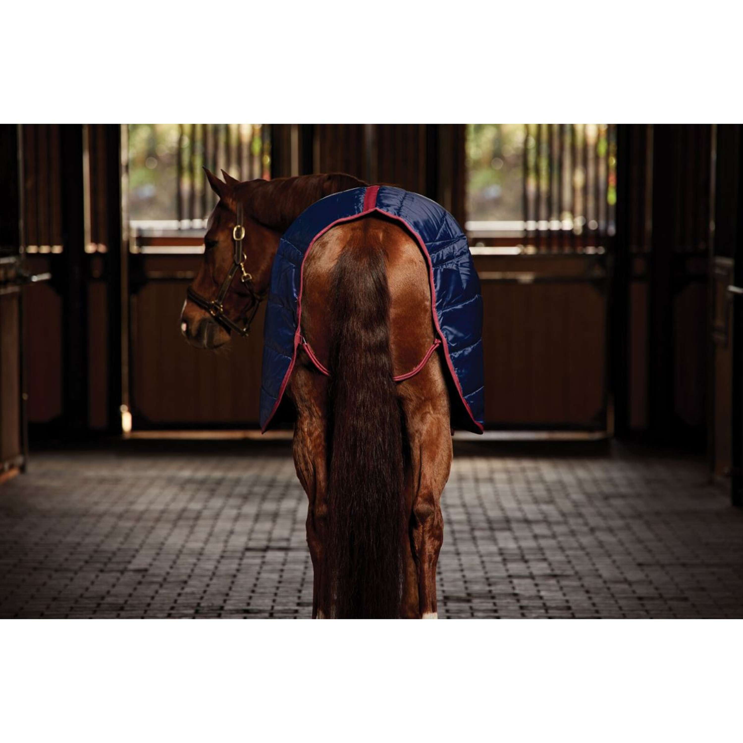 WeatherBeeta Staldeken ComFiTec 210D Channel Quilt Standard Neck 100g